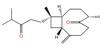 Gibberosin R